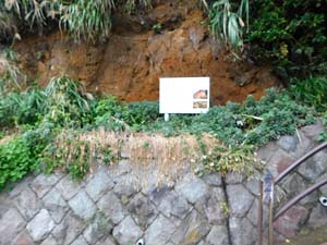 江の島の関東ローム層と「江ノ島縁起」説明版