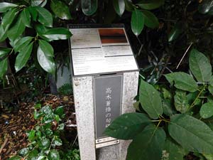 高木蒼悟の句碑
