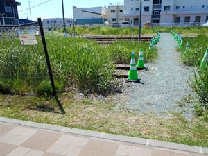 旧留萌駅