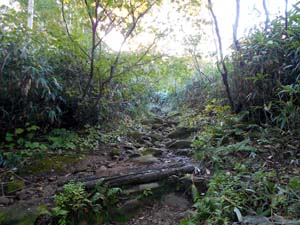 頂上まで2500ｍ地点へ