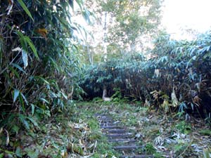 頂上まで2500ｍ地点へ