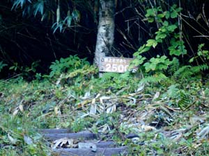 頂上まで2500ｍ地点へ