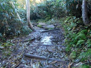 頂上まで2500ｍ地点へ