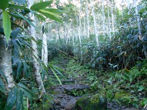頂上まで2500ｍ地点へ