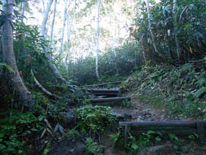 頂上まで2500ｍ地点へ