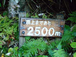頂上まで2500ｍ地点へ
