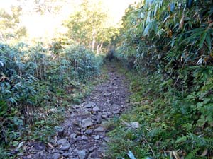 頂上まで1500ｍ地点へ