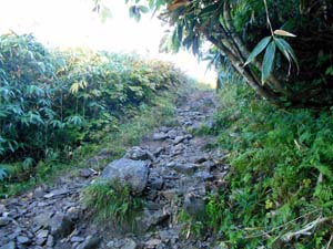 頂上まで1500ｍ地点へ