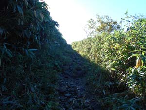 頂上まで1500ｍ地点へ