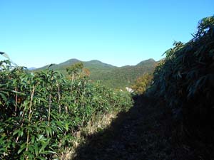 頂上まで1500ｍ地点へ