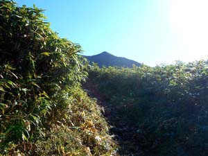 頂上まで1500ｍ地点へ