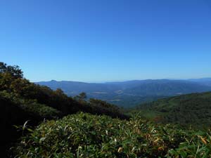 頂上まで1500ｍ地点へ
