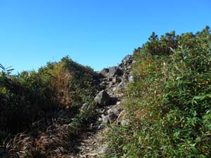 頂上まで1500ｍ地点へ