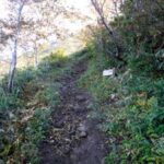 頂上まで1500ｍ地点へ