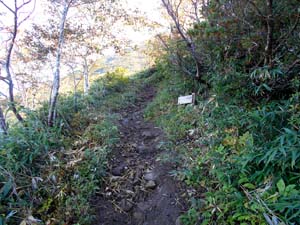 頂上まで1500ｍ地点へ