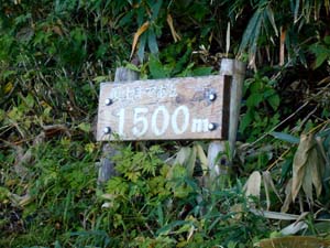 頂上まで1500ｍ地点へ