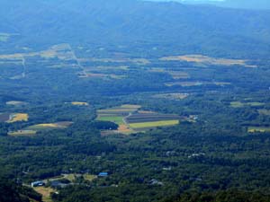 頂上まで1000ｍ地点へ