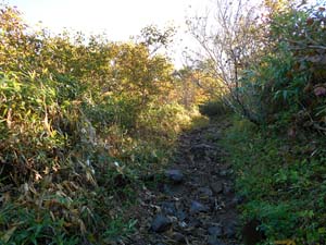 頂上まで1000ｍ地点へ