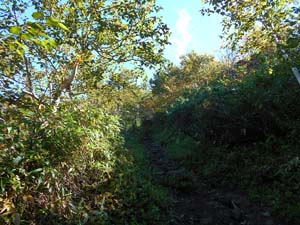 頂上まで1000ｍ地点へ