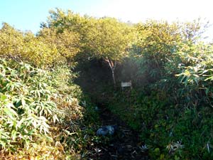 頂上まで1000ｍ地点へ