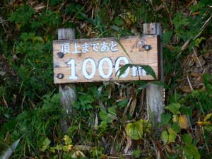 頂上まで1000ｍ地点