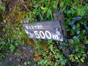 頂上まで500ｍ地点