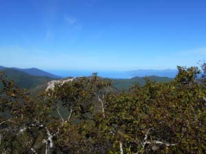 頂上まで500ｍ地点へ