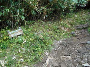 頂上まで2000ｍ地点へ