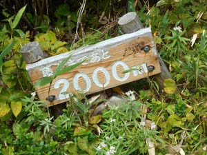 頂上まで2000ｍ地点