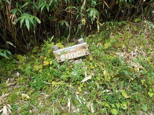 頂上まで2000ｍ地点