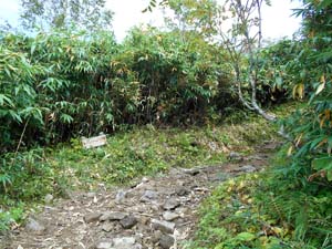 頂上まで2000ｍ地点へ