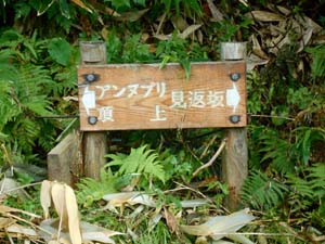 山頂へ