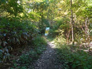銭函天狗山登山口