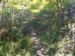 銭函天狗山登山口