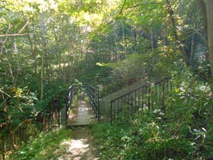 登山口から登山道へ