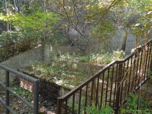 登山口から登山道へ