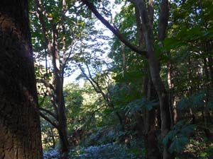 山頂を目指して