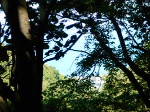 山頂を目指して