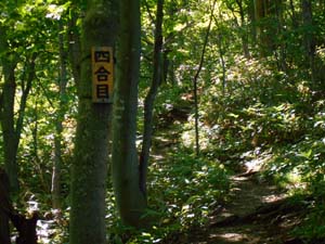 山頂を目指して