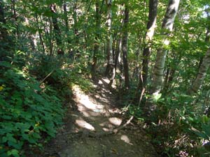 山頂を目指して