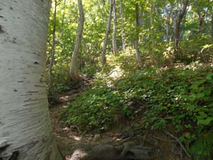 山頂を目指して