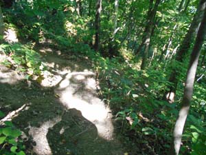 山頂を目指して