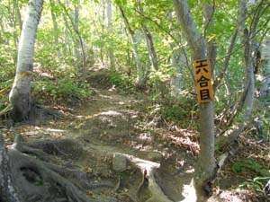 山頂を目指して