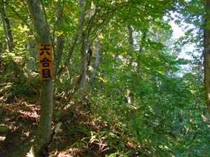 山頂を目指して