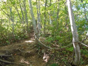 山頂を目指して