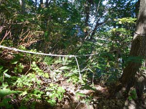 山頂を目指して