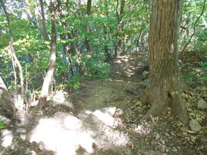 山頂を目指して