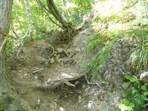 山頂を目指して