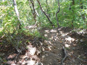 山頂を目指して