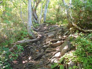 山頂を目指して